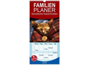 9783457135341 - Familienplaner 2025 - Schottische Katzenhelden mit 5 Spalten (Wandkalender 21 x 45 cm) CALVENDO