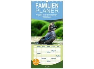 9783457135518 - Familienplaner 2025 - Vögel in heimischen Wäldern mit 5 Spalten (Wandkalender 21 x 45 cm) CALVENDO