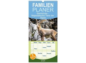 9783457135655 - Familienplaner 2025 - Steinböcke - Majestätische Tiere der Alpen mit 5 Spalten (Wandkalender 21 x 45 cm) CALVENDO