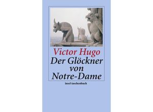 9783458352372 - Victor Hugo - GEBRAUCHT Der Glöckner von Notre-Dame (insel taschenbuch) - Preis vom 02062023 050629 h