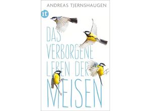 9783458363941 - Das verborgene Leben der Meisen - Andreas Tjernshaugen Kartoniert (TB)