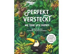 9783458644118 - Perfekt versteckt - Rachel Williams Gebunden