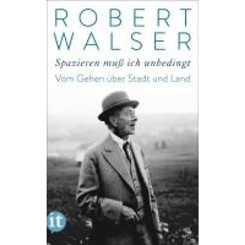 9783458683568 - Walser Robert »Spazieren muß ich unbedingt«