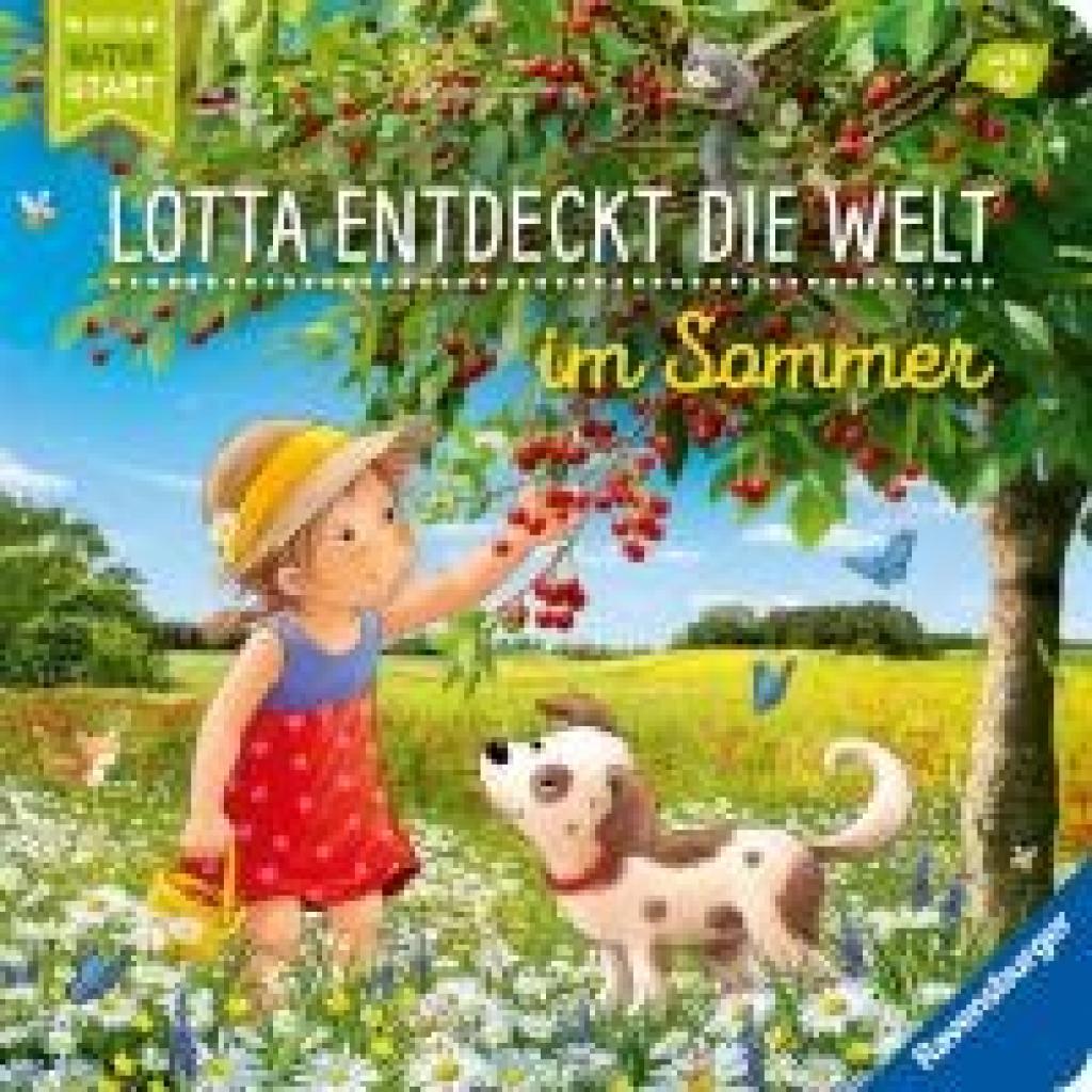 9783473418886 - Grimm Sandra Entdecke den Sommer mit Lotta