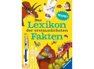 9783473480692 - Das Lexikon der erstaunlichsten Fakten - die Welt mit neuen Augen sehen das Nachschlagewerk für visuelles Lernen - Jacqueline McCann Camilla de la Bédoyère Andrea Mills Gebunden