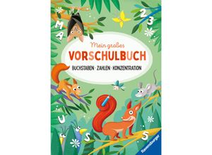 9783473488919 - Mein großes Vorschulbuch Buchstaben Zahlen Konzentration - Kirstin Jebautzke Kartoniert (TB)