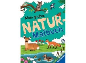 9783473489473 - Ravensburger Mein großes Natur-Malbuch - heimische Waldtiere Meerestiere Vögel und Pflanzen zum Ausmalen und spannenden Fakten - Christina Berens Kartoniert (TB)