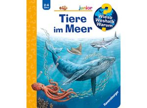 9783473600540 - Wieso? Weshalb? Warum? junior Band 57 Tiere im Meer - Anita van Saan Kartoniert (TB)