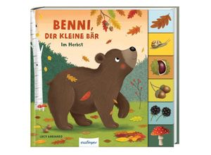 9783480238200 - Mein erstes Jahreszeitenbuch Benni der kleine Bär - Anja Kiel Pappband