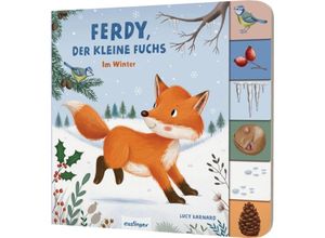 9783480238217 - Mein erstes Jahreszeitenbuch Ferdy der kleine Fuchs - Anja Kiel Pappband