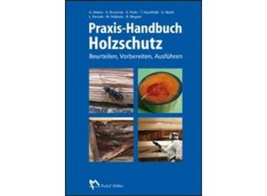 9783481029906 - Praxis-Handbuch Holzschutz - Tobias Huckfeldt Gebunden