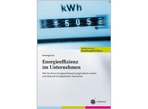 9783482664113 - N-Kompass-Dossier   Energieeffizienz im Unternehmen - Matthias Kannegiesser Kartoniert (TB)