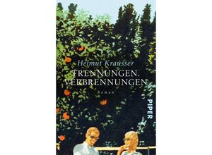 9783492316095 - Trennungen Verbrennungen - Helmut Krausser Taschenbuch