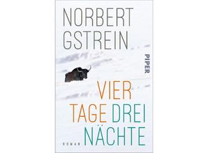 9783492319713 - Vier Tage drei Nächte - Norbert Gstrein Taschenbuch