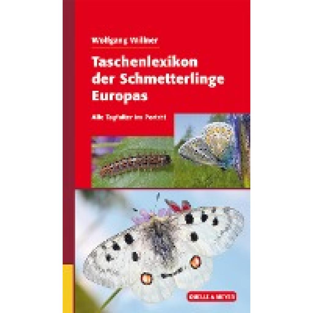 9783494016337 - Willner Wolfgang Taschenlexikon der Schmetterlinge Europas