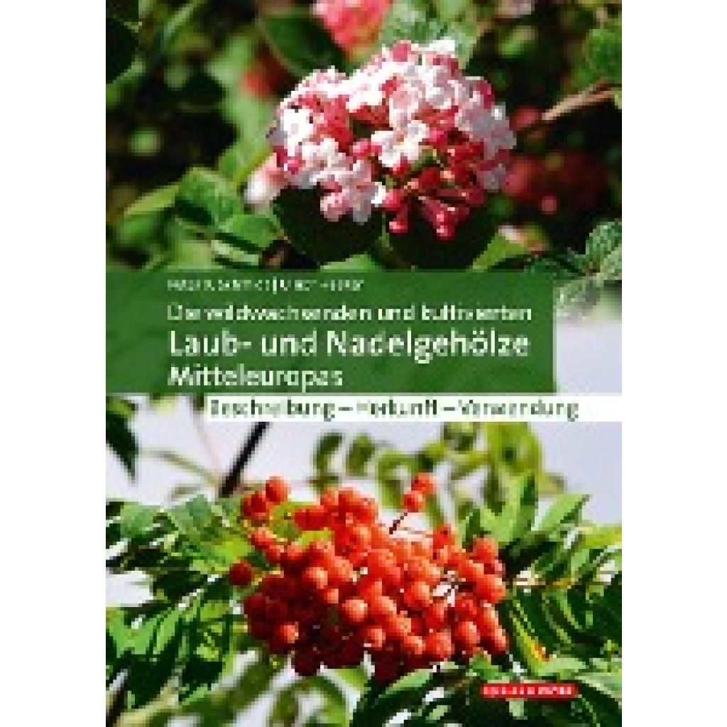 9783494018003 - Die wildwachsenden und kultivierten Laub- und Nadelgehölze Mitteleuropas - Peter A Schmidt Ulrich Hecker Gebunden