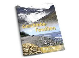 9783494019550 - Geschiebe-Fossilien - Jens Lehmann Kartoniert (TB)