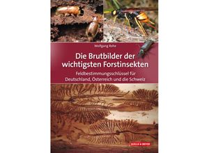 9783494019758 - Die Brutbilder der wichtigsten Forstinsekten - Wolfgang Rohe Kartoniert (TB)