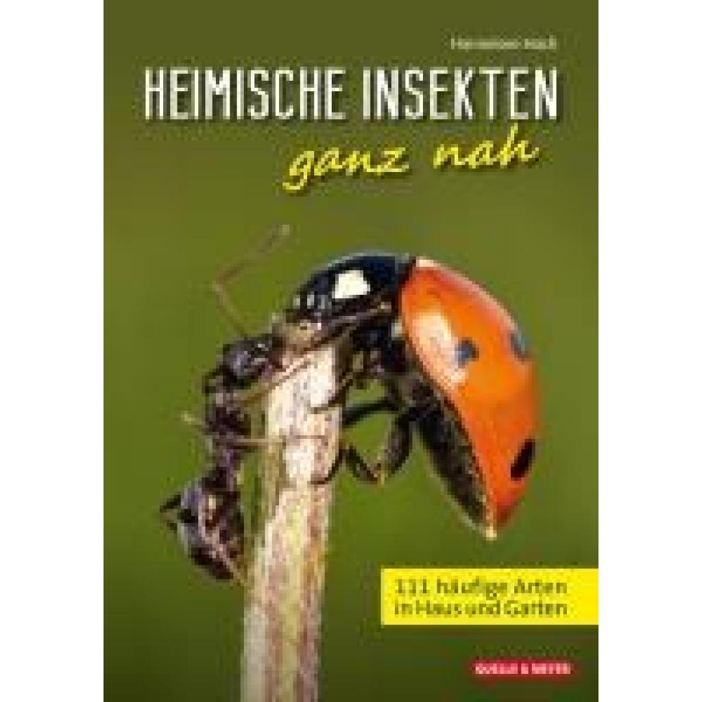 9783494019802 - Hoch Hannelore Heimische Insekten ganz nah