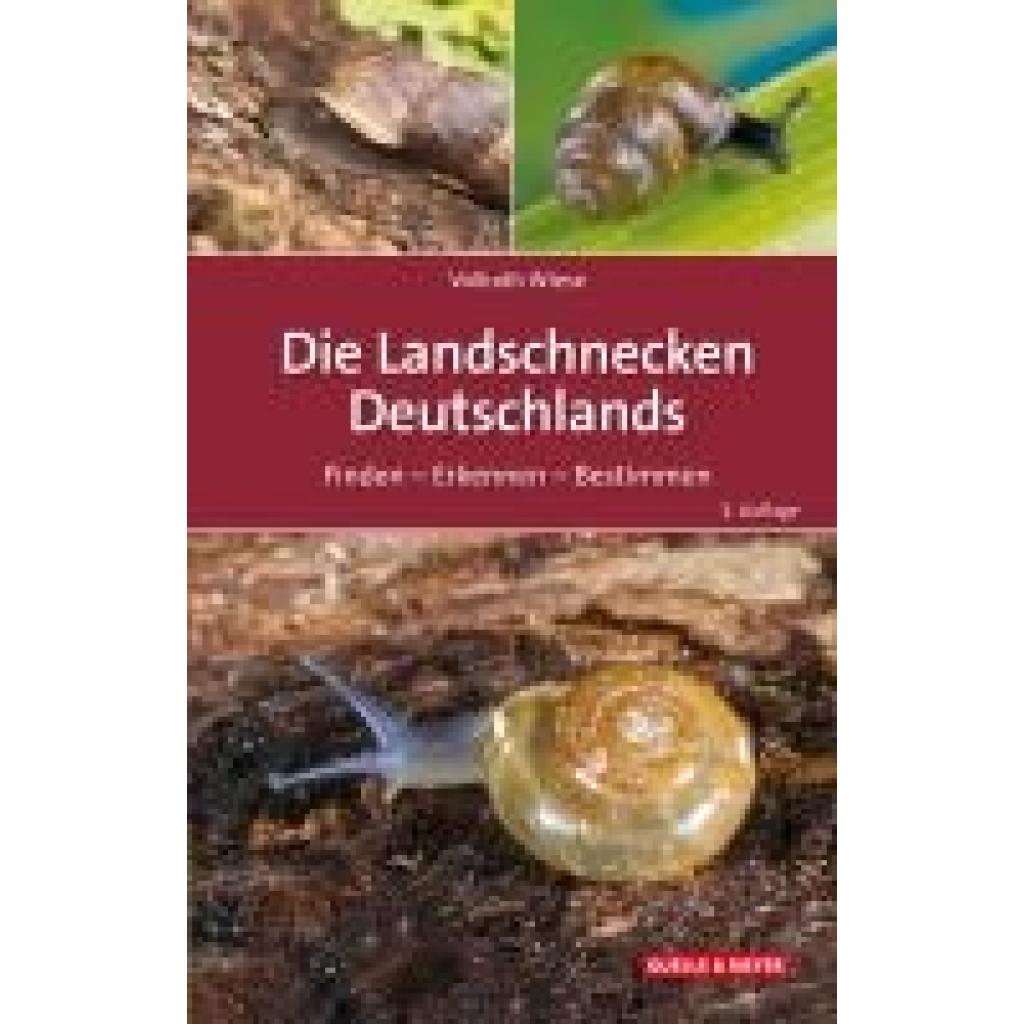 9783494019925 - Wiese Vollrath Die Landschnecken Deutschlands