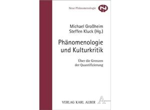 9783495484272 - Phänomenologie und Kulturkritik Kartoniert (TB)