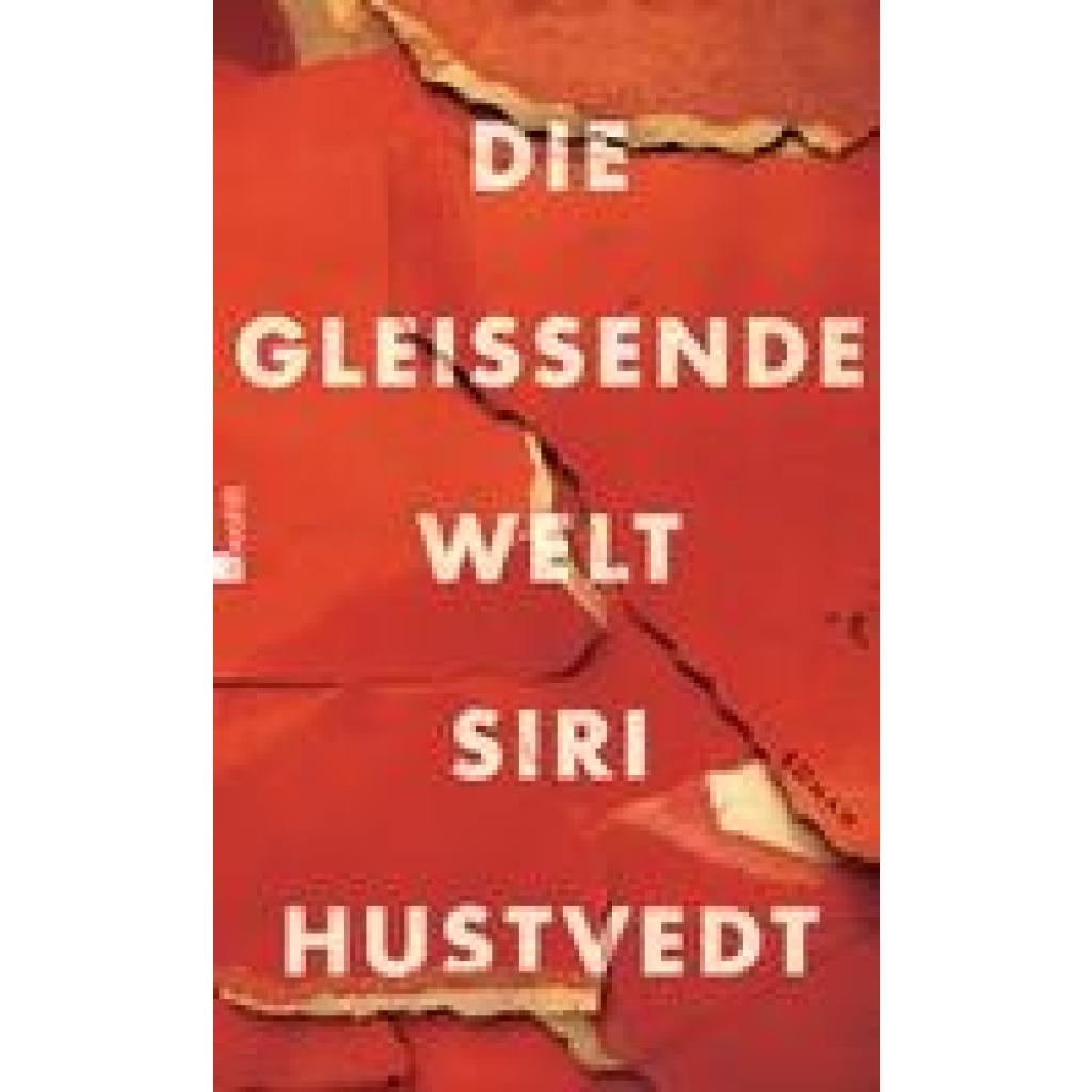 9783498030247 - Hustvedt Siri Die gleißende Welt