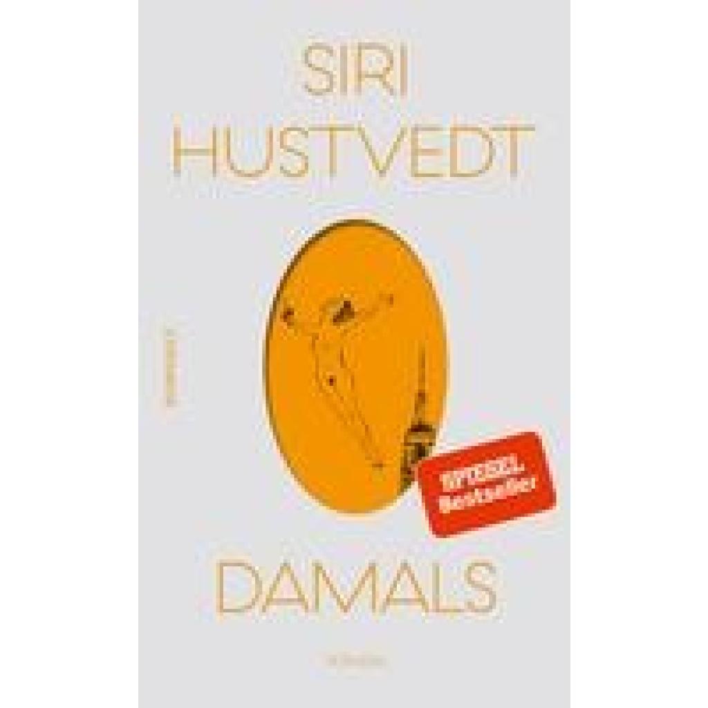 9783498030414 - Hustvedt Siri Damals