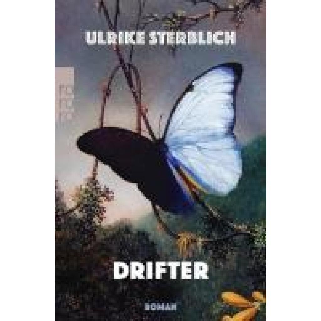 9783499010699 - Sterblich Ulrike Drifter
