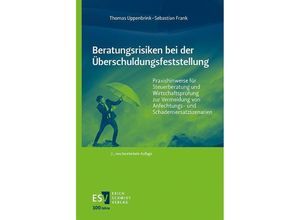 9783503238385 - Beratungsrisiken bei der Überschuldungsfeststellung - Thomas Uppenbrink Sebastian Frank Kartoniert (TB)