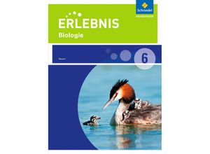 9783507777781 - Erlebnis Biologie Ausgabe Realschulen Bayern (2016) Erlebnis Biologie - Ausgabe 2016 für Realschulen in Bayern Gebunden