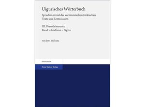 9783515135030 - Uigurisches Wörterbuch Sprachmaterial der vorislamischen türkischen Texte aus Zentralasien - Jens Wilkens Kartoniert (TB)