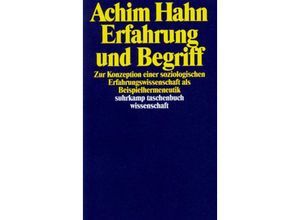 9783518287613 - Erfahrung und Begriff - Achim Hahn Taschenbuch