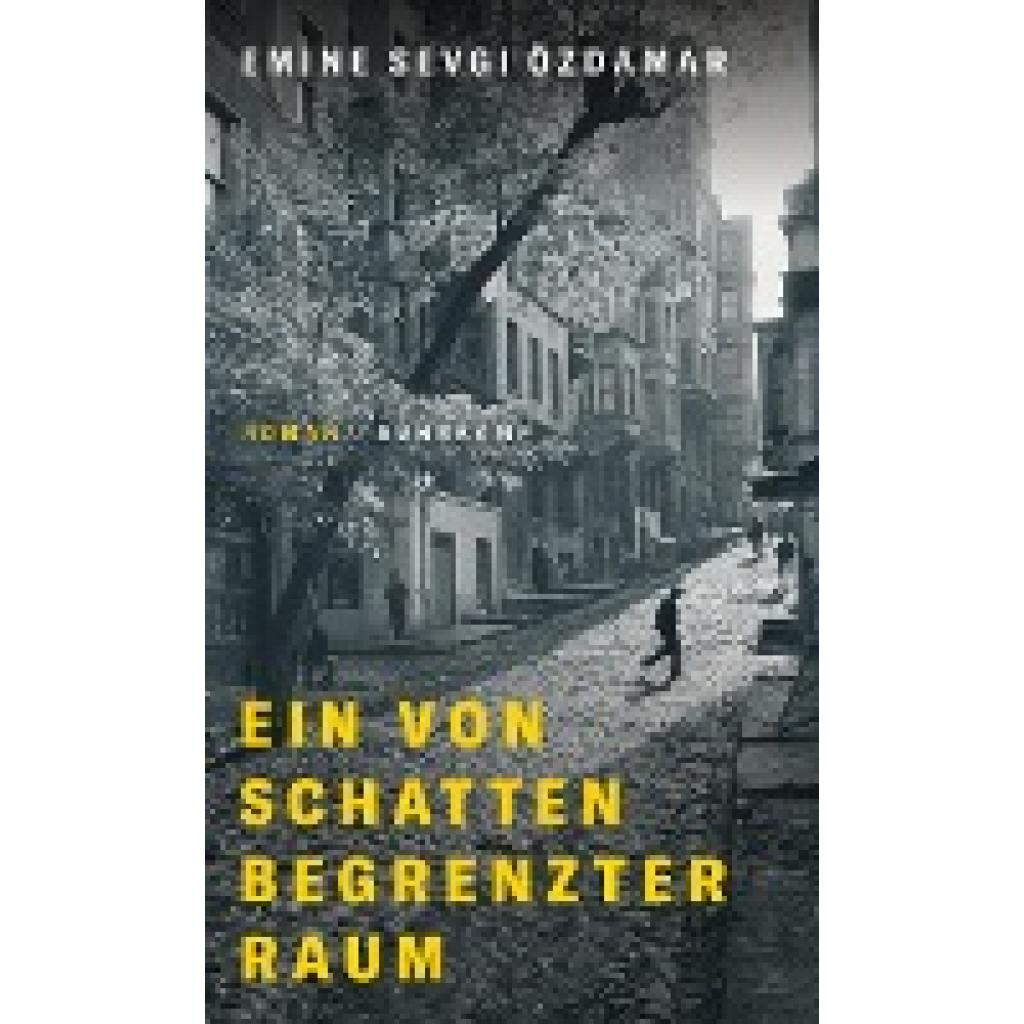 9783518430088 - Özdamar Emine Sevgi Ein von Schatten begrenzter Raum