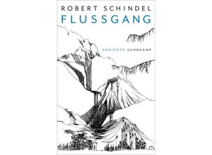 9783518431405 - Flussgang - Robert Schindel Gebunden