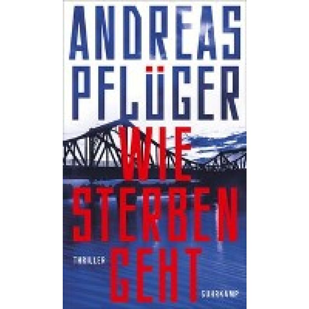 9783518431504 - Pflüger Andreas Wie Sterben geht