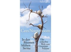 9783518431559 - Cees Nooteboom - GEBRAUCHT In den Bäumen blühen Steine Die erdachte Welt von Giuseppe Penone - Preis vom 17112023 061014 h