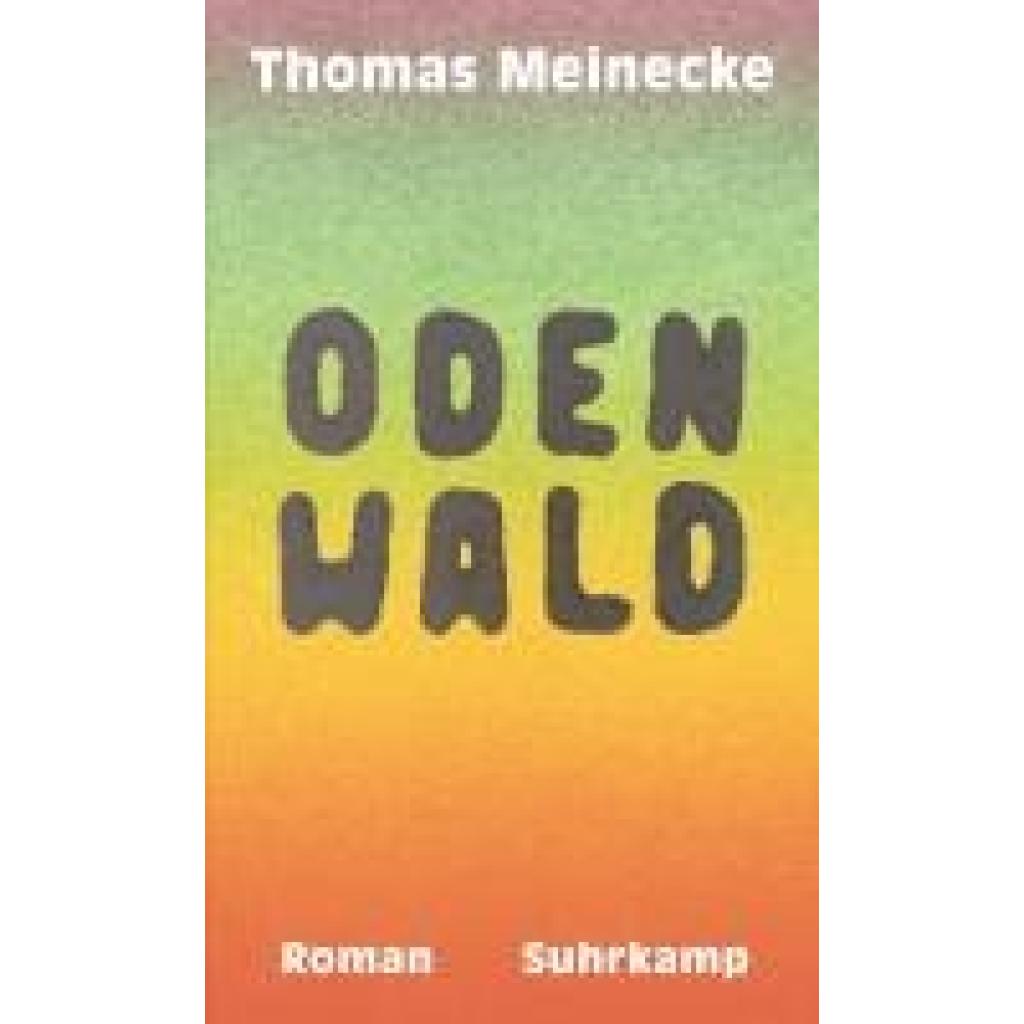 9783518431917 - Meinecke Thomas Odenwald