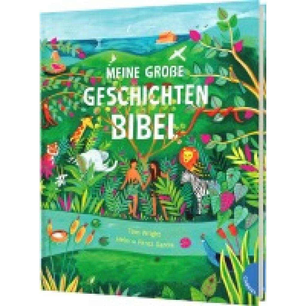 9783522306553 - Wright Tom Meine große Geschichten-Bibel