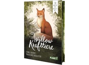 9783522507875 - Ein Mädchen namens Willow Krafttiere - Sabine Bohlmann Gebunden