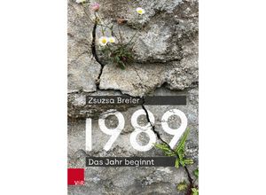 9783525302491 - 1989 - Zsuzsa Breier Gebunden