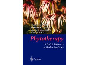 9783540000525 - Phytotherapy - Francesco Capasso Timothy S Gaginella Giuliano Grandolini Angelo A Izzo Kartoniert (TB)