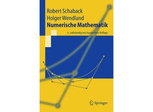 9783540213949 - Springer-Lehrbuch   Numerische Mathematik - Robert Schaback Holger Wendland Kartoniert (TB)