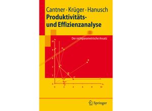 9783540707936 - Springer-Lehrbuch   Produktivitäts- und Effizienzanalyse - Uwe Cantner Jens Krüger Horst Hanusch Kartoniert (TB)