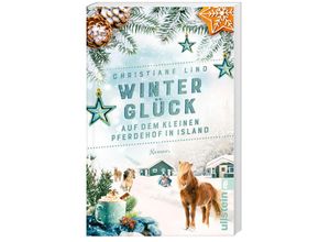 9783548067452 - Winterglück auf dem kleinen Pferdehof in Island - Christiane Lind Taschenbuch