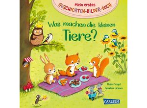 9783551171887 - Mein erstes Geschichten-Bilder-Buch Was machen die kleinen Tiere? - Sandra Grimm Pappband