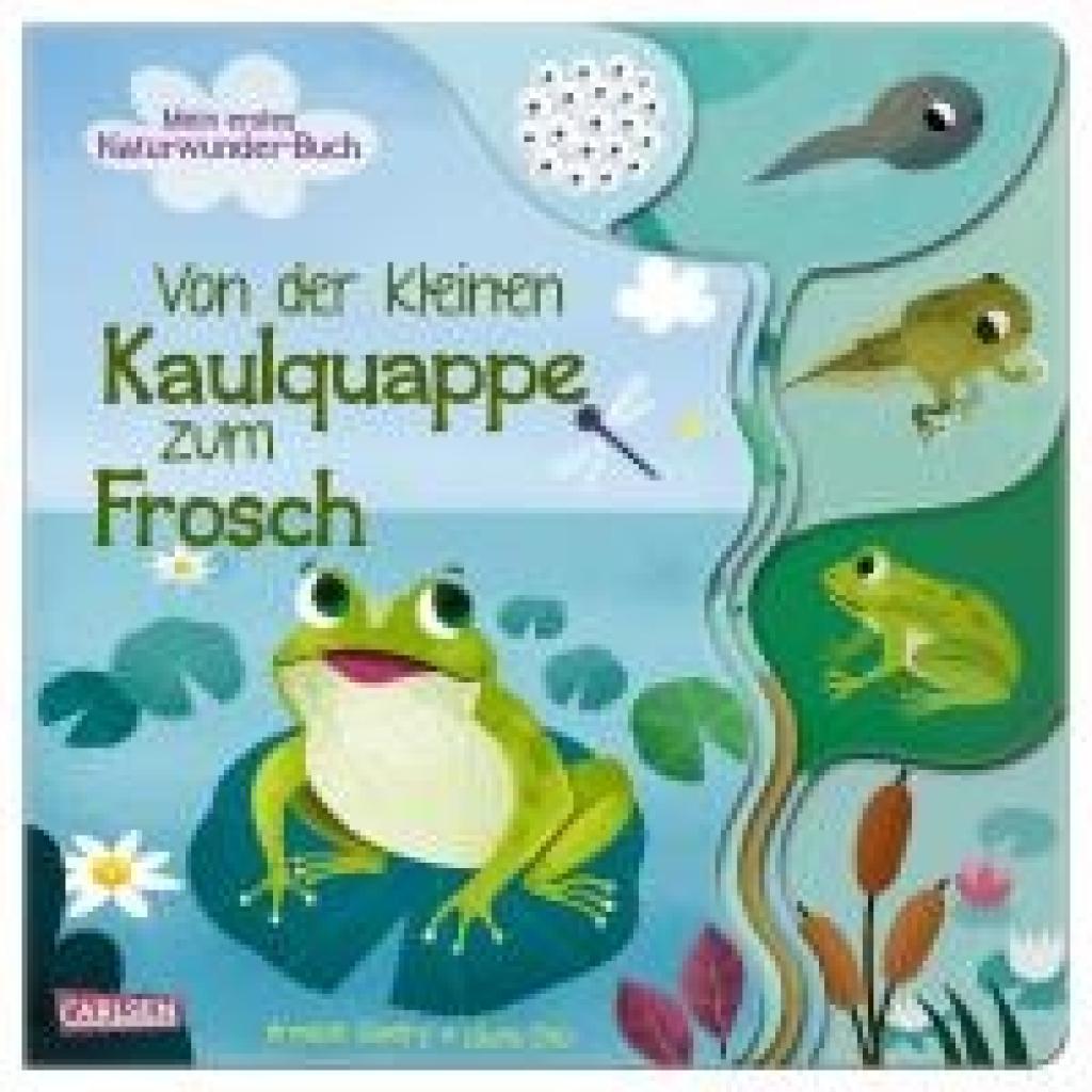 9783551172198 - Savery Annabel Von der kleinen Kaulquappe zum Frosch
