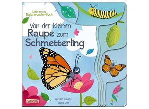 9783551172204 - Von der kleinen Raupe zum Schmetterling - Annabel Savery Pappband