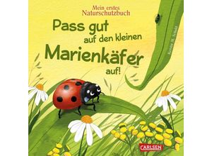 9783551172792 - Pass gut auf den kleinen Marienkäfer auf - Kerstin M Schuld Pappband