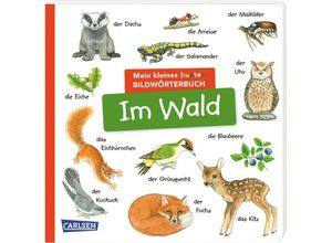 9783551173027 - Mein kleines buntes Bildwörterbuch Im Wald Pappband