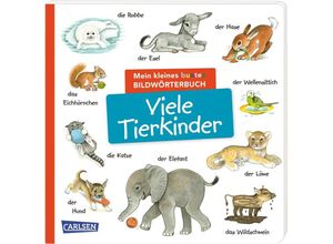 9783551173034 - Mein kleines buntes Bildwörterbuch Viele Tierkinder Pappband